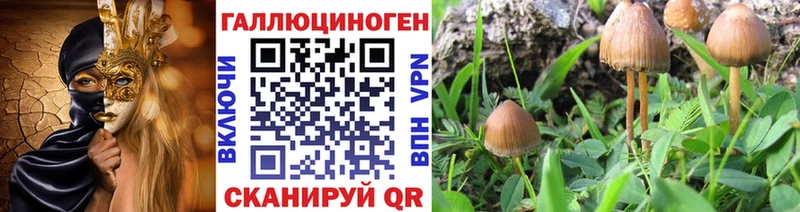 блэк спрут онион  Карталы  Галлюциногенные грибы мицелий 